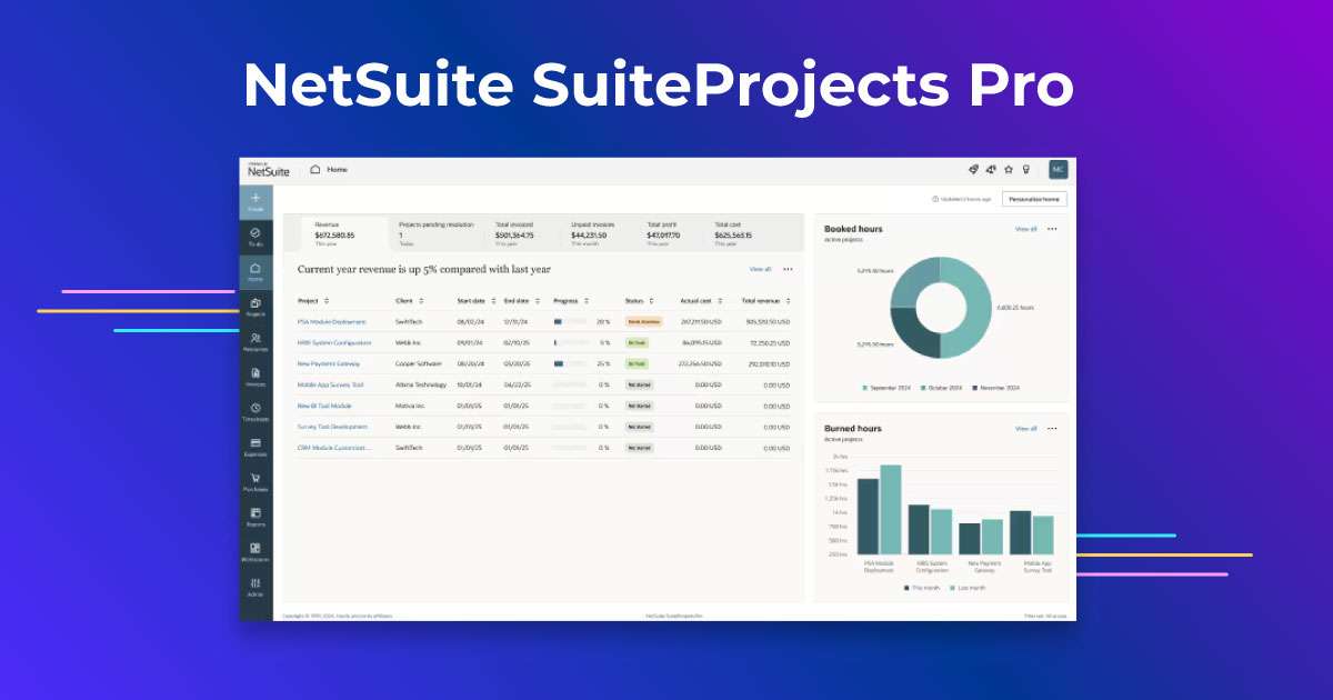 NetSuite-SuiteProjects-Pro